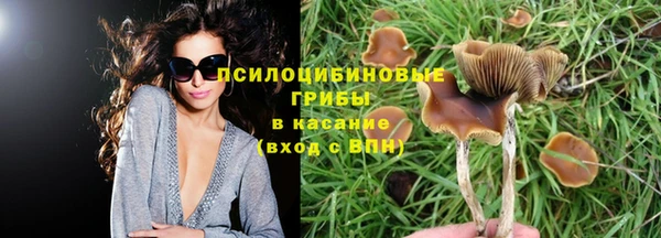 ECSTASY Арсеньев