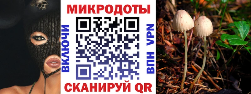 купить наркоту  Кубинка  Галлюциногенные грибы MAGIC MUSHROOMS 